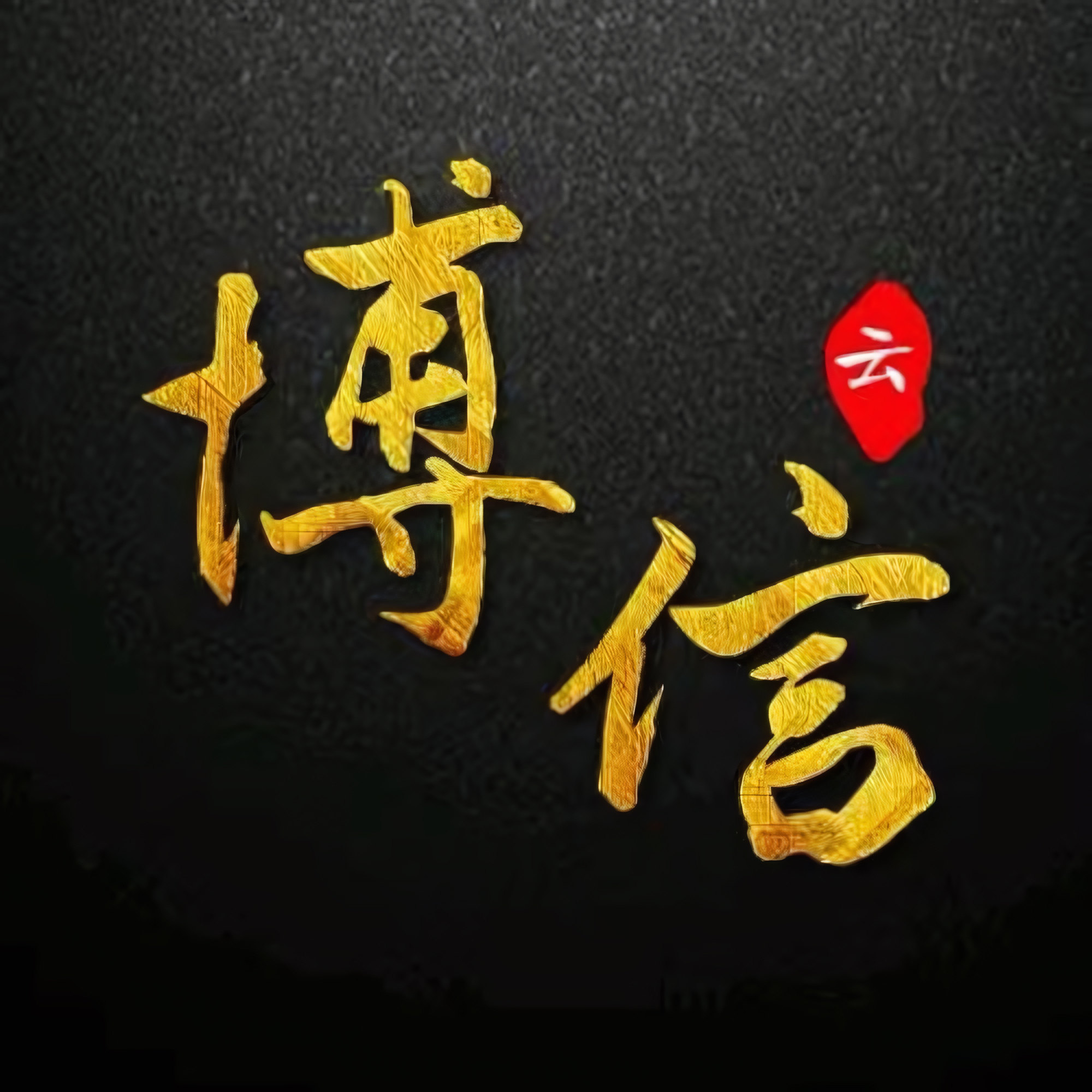 博信云服饰 店铺LOGO