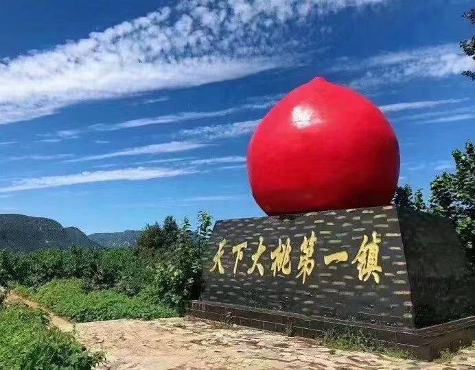 平谷大华山后北宫桃你欢心鲜桃采摘园 店铺LOGO