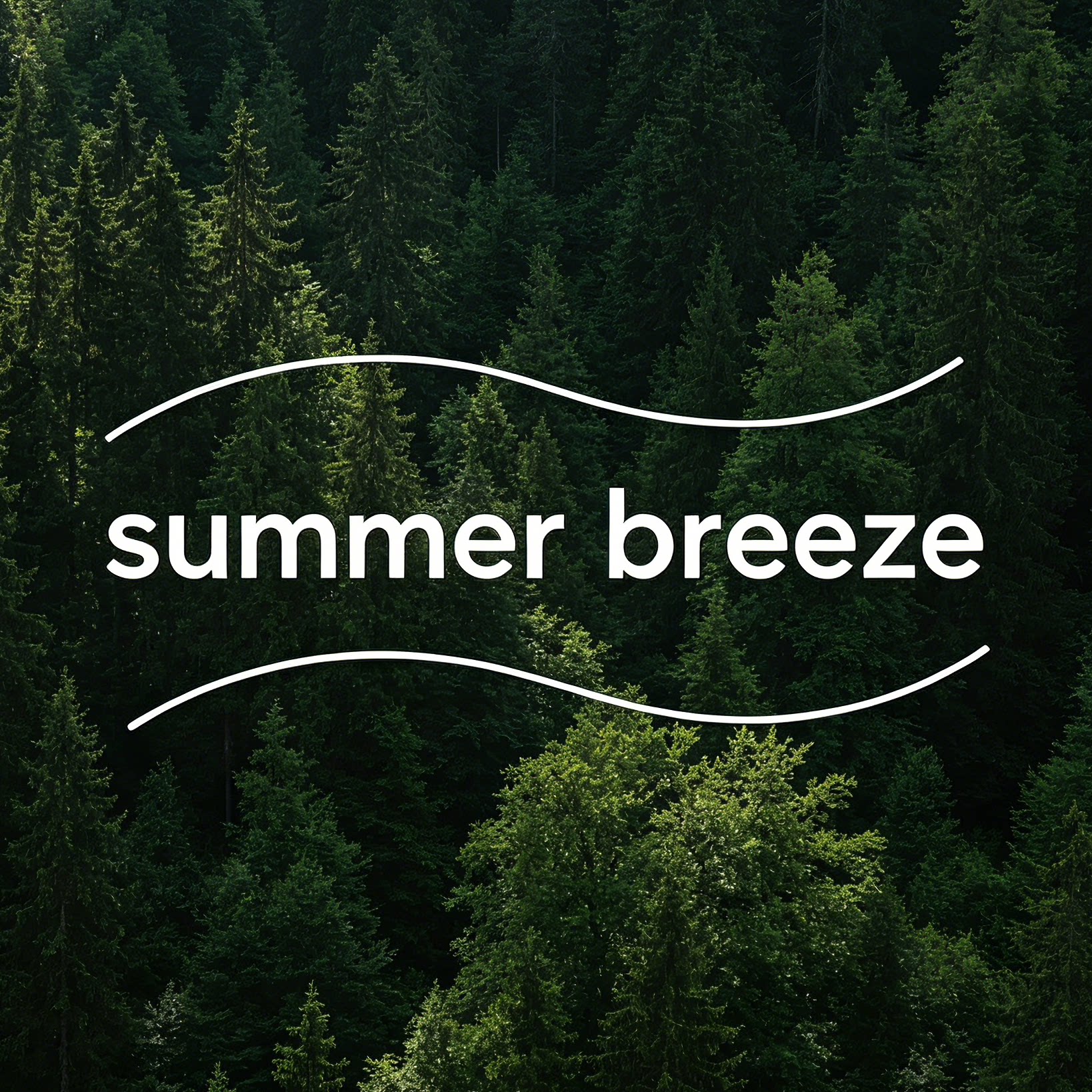 summerのbreeze