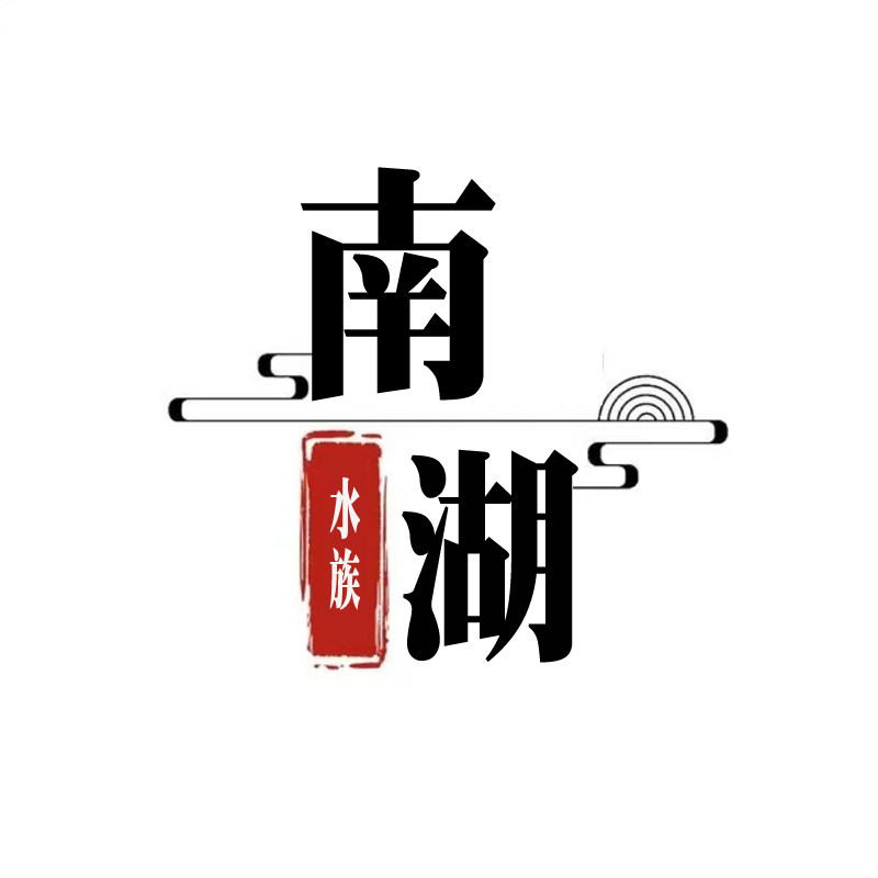 南湖水族