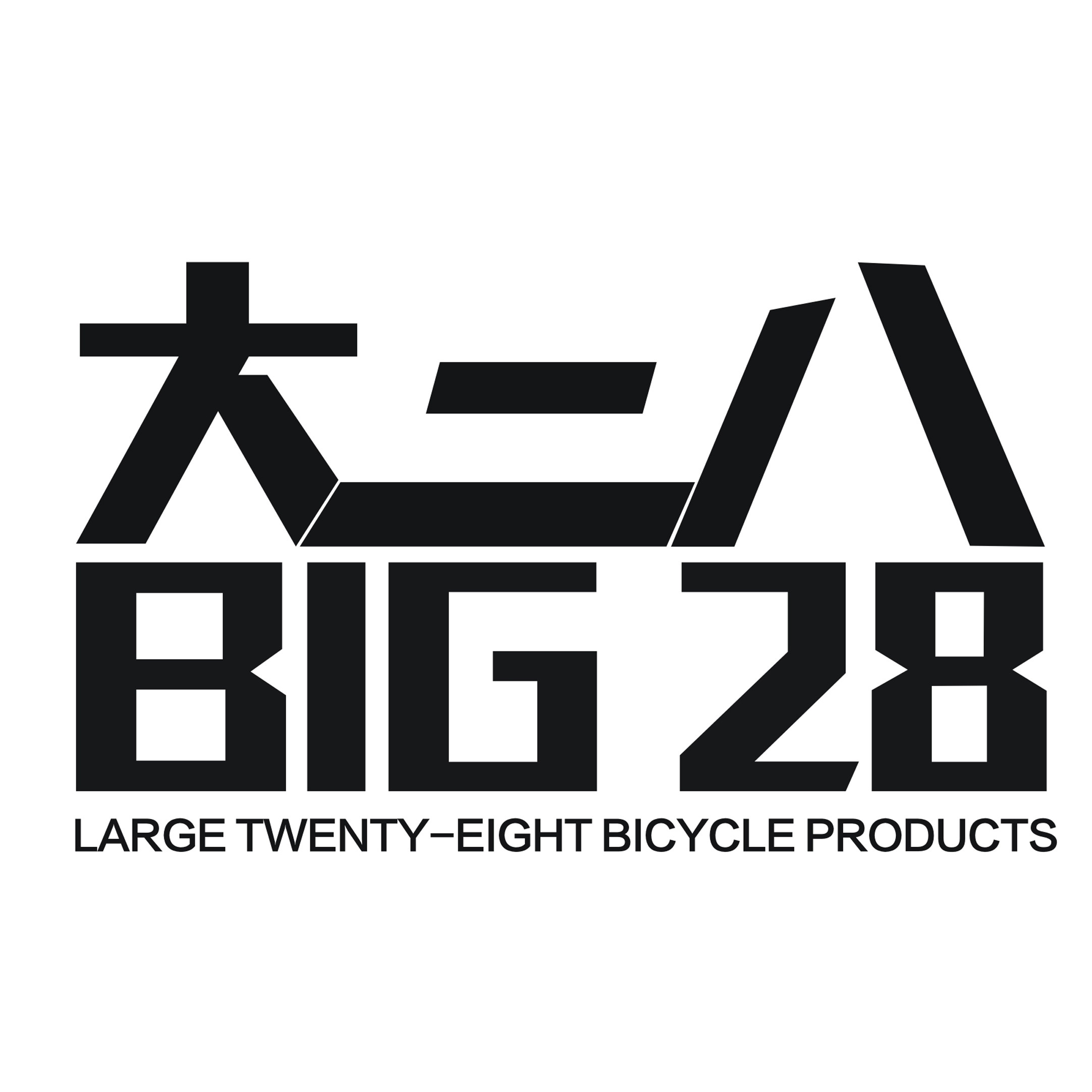 BIG 28大二八骑行