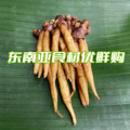 东南亚食材优鲜购