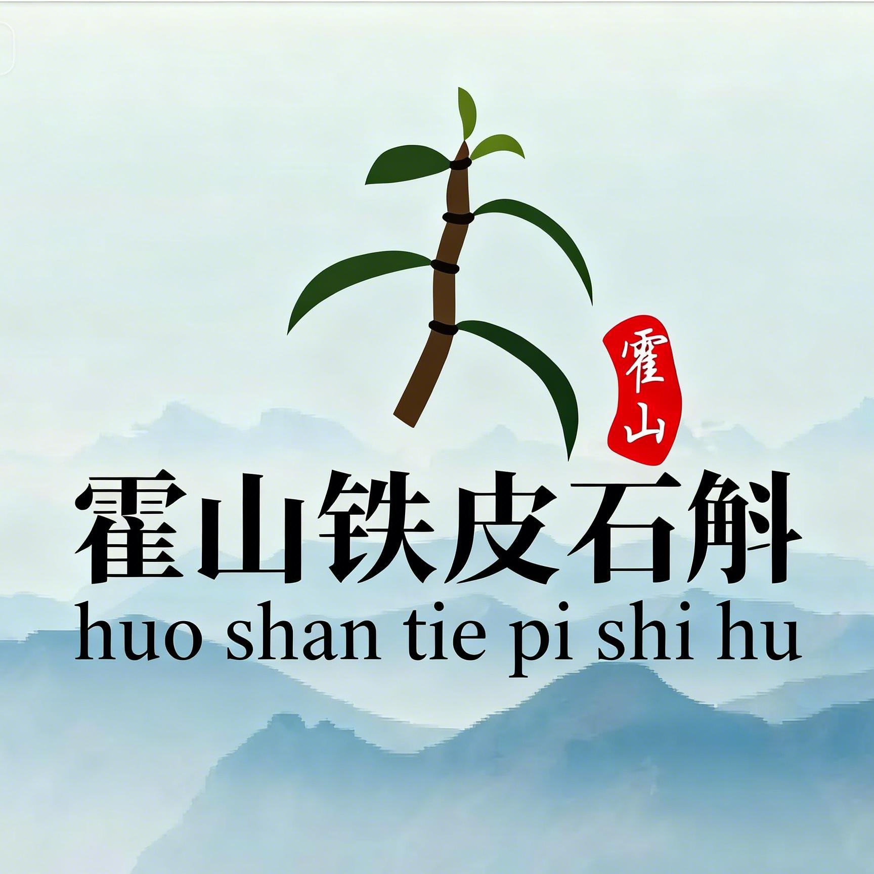 霍冠农霍山铁皮石斛