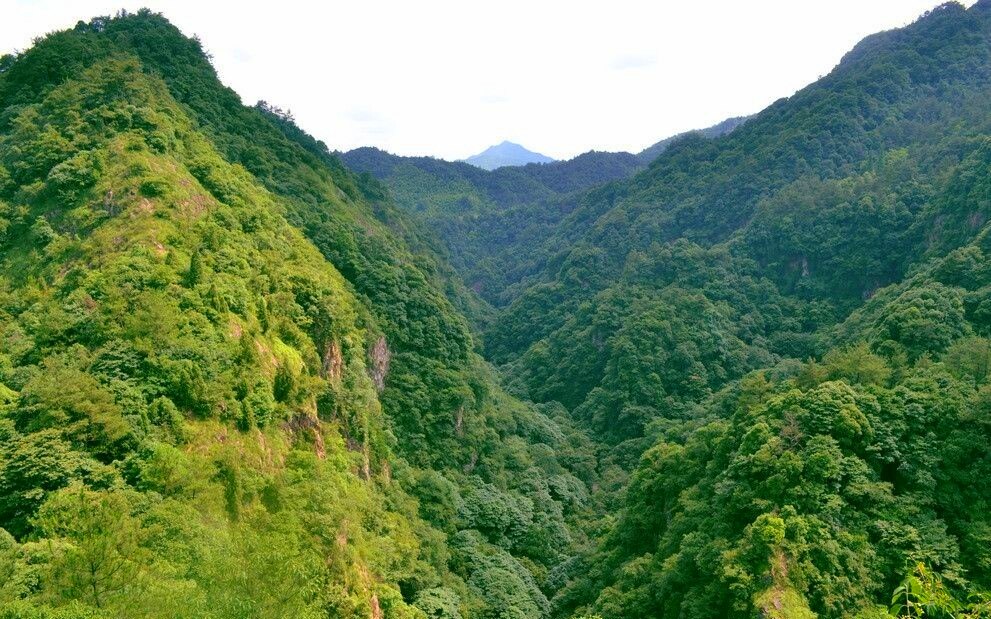 深山幽谷土特产