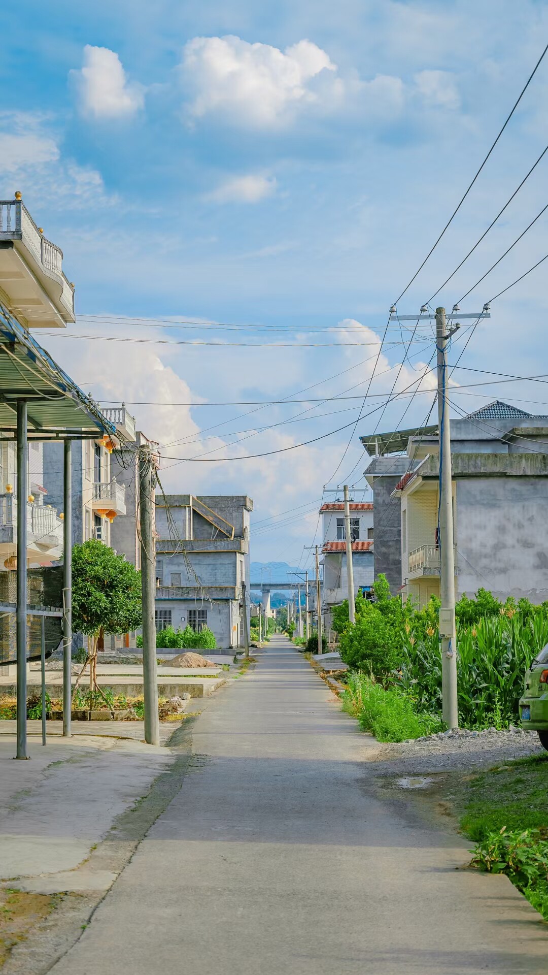 键赏物语