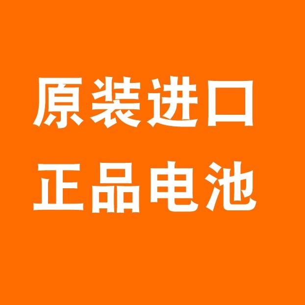 原装正品进口电池品牌店