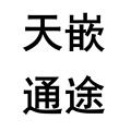 北京天嵌通途电子科技
