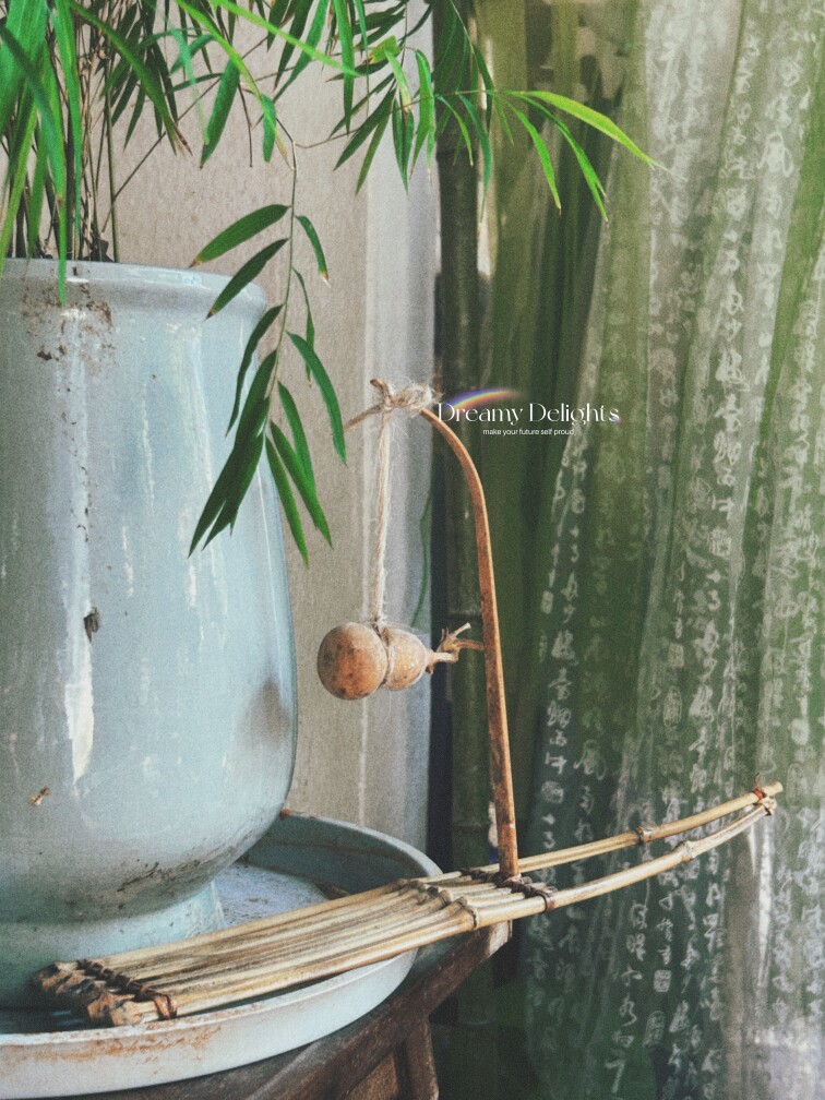 糖果郡 品质童装