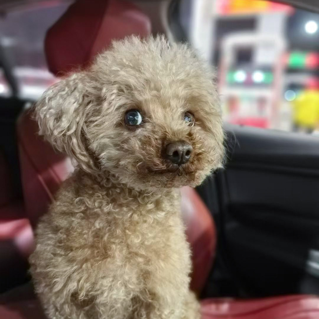 Andy包包工厂店