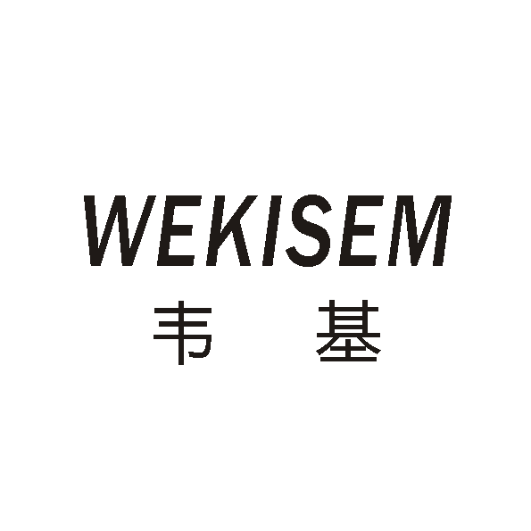 韦基半导体