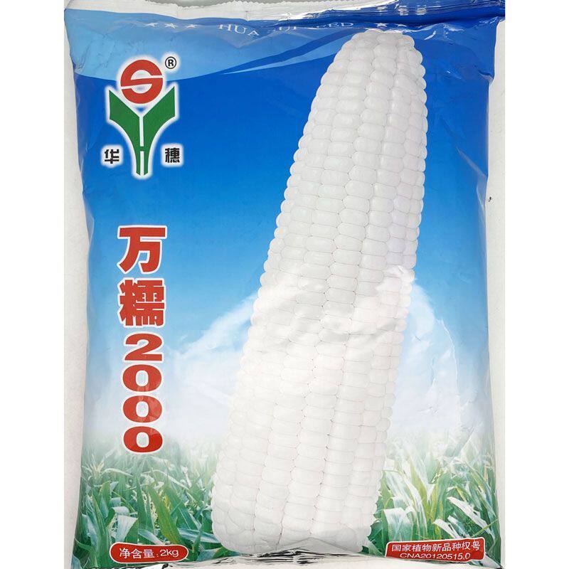 金苗种业