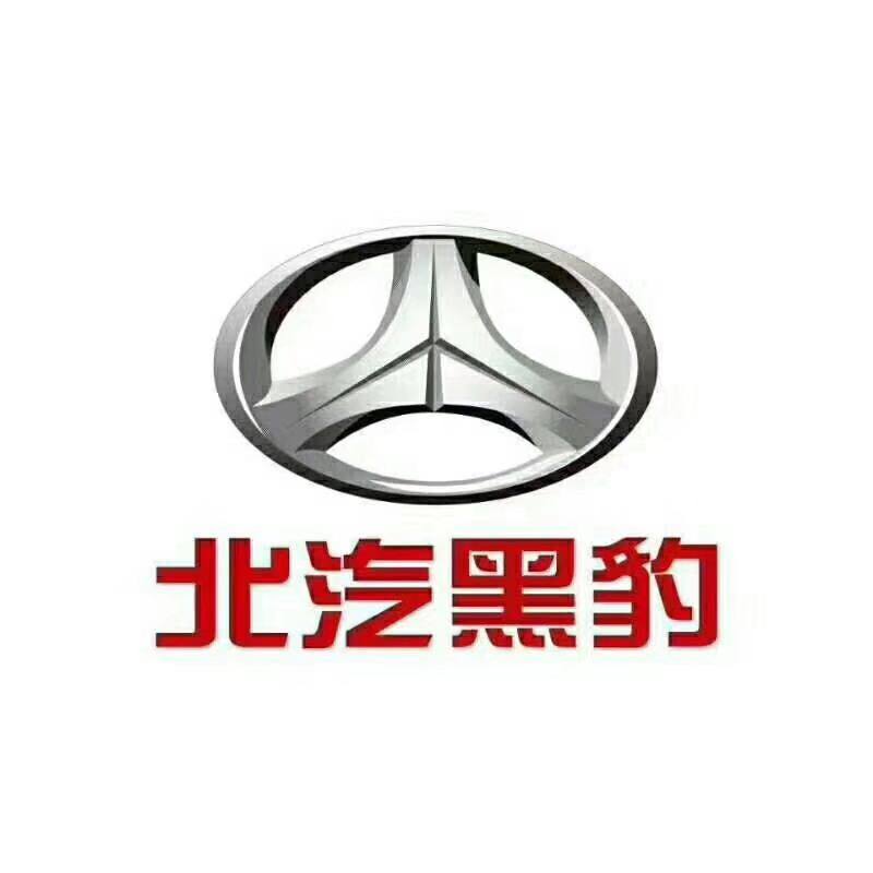 蓝擎汽车黑豹汽车中心库