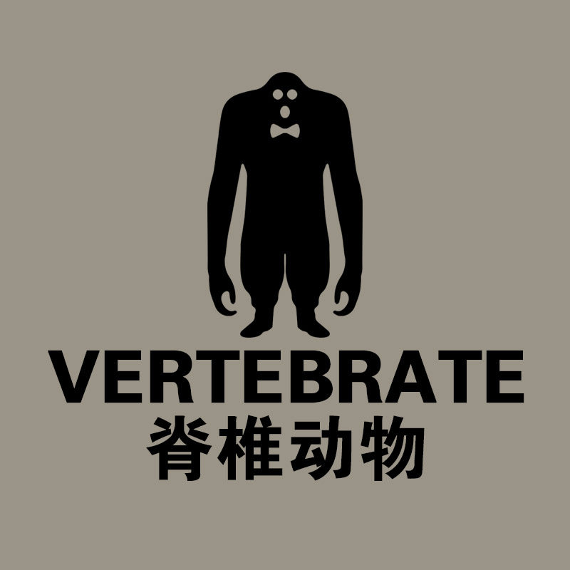 脊椎动物男装VERTEBRATE