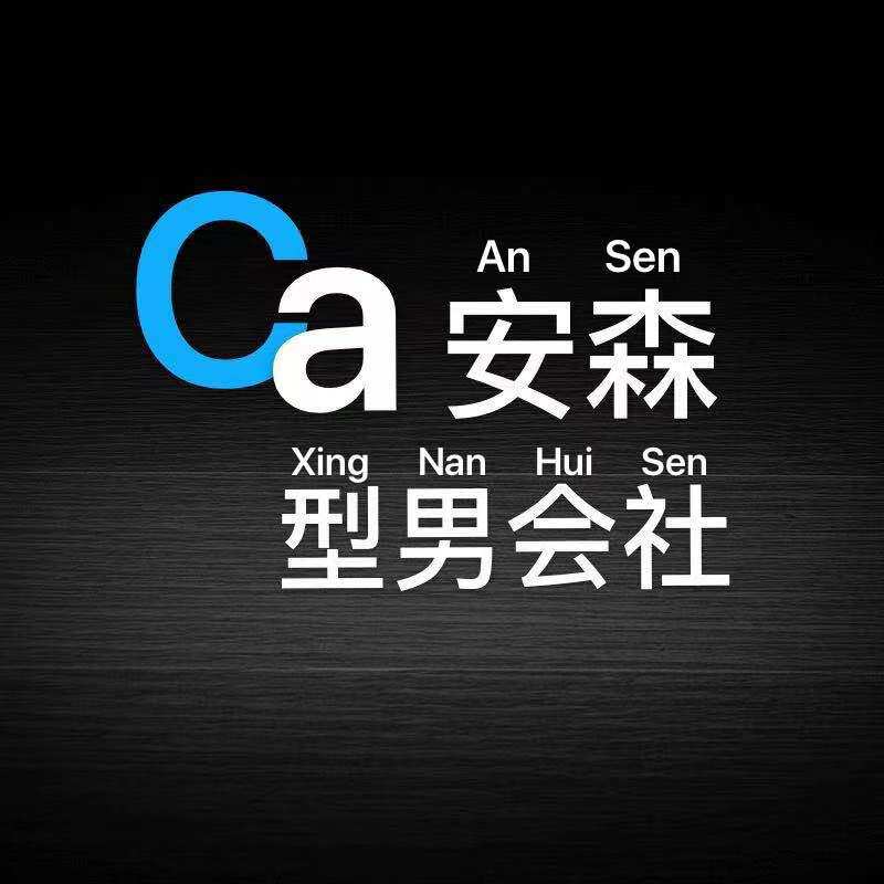 ca安森型男会社
