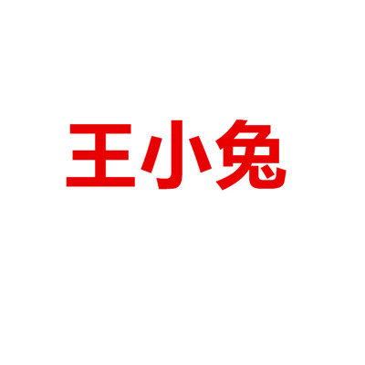 王小兔 chic韩系店