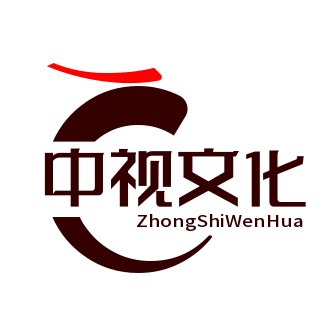 中视文化