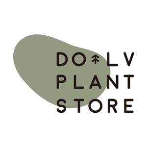 豆绿植物工作室