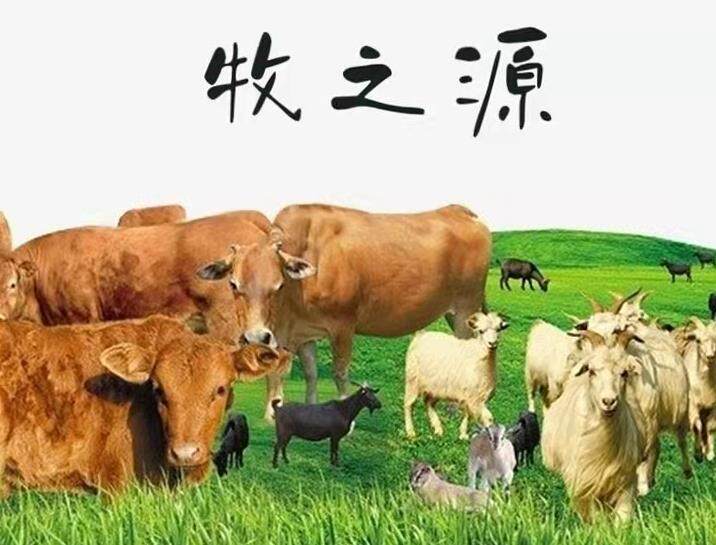 牧之源内蒙特产优选