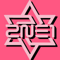 2ne1箱包旗舰店 店铺LOGO