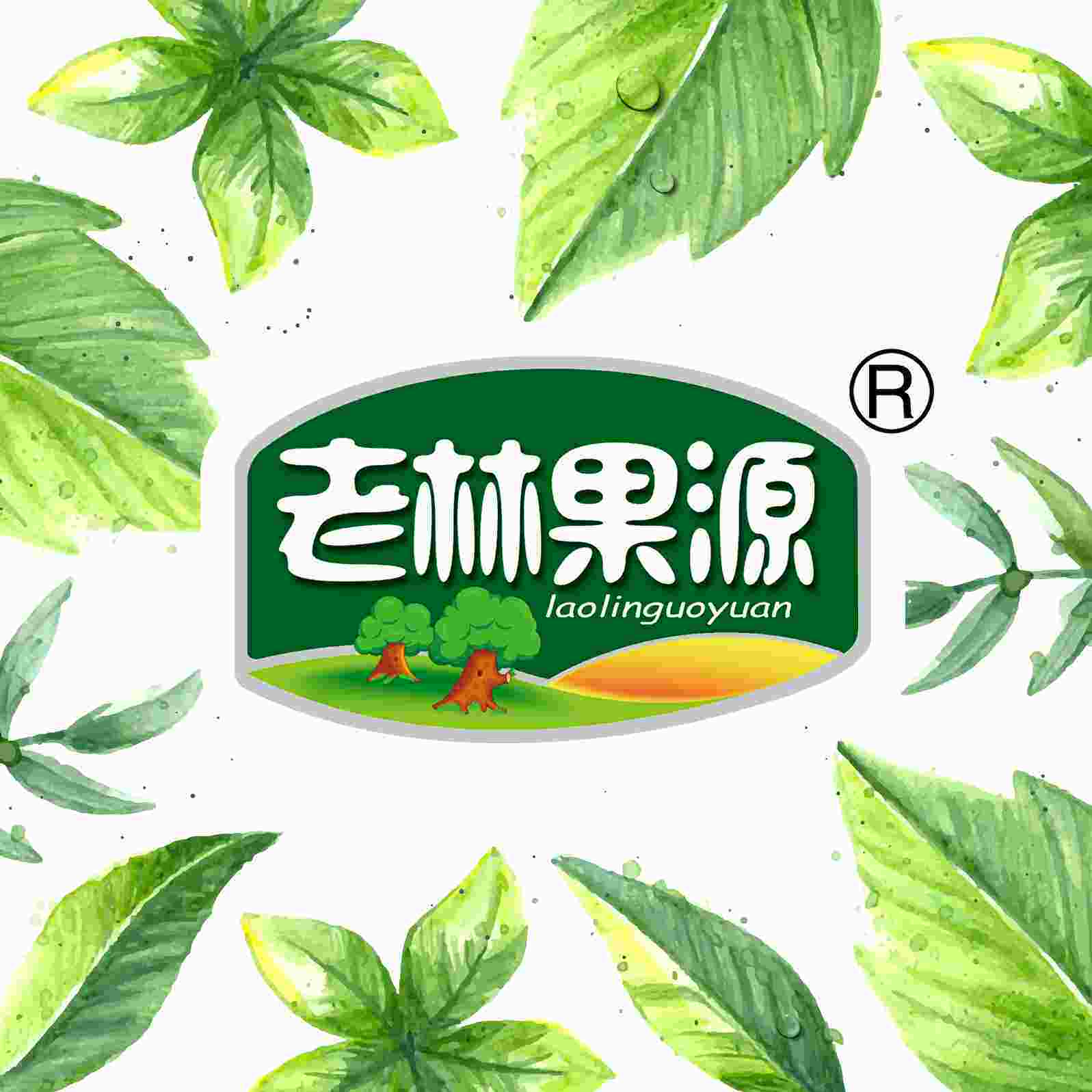 老林果源食品旗舰店