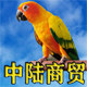 中陆商贸城