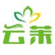 云茉旗舰店