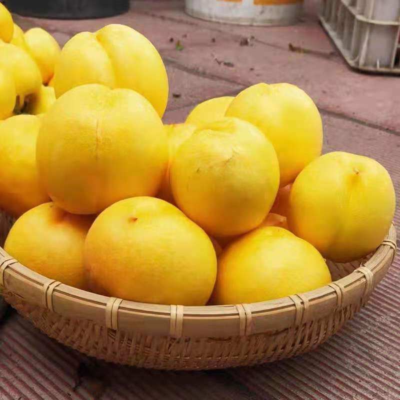 沂蒙水蜜桃吃起来