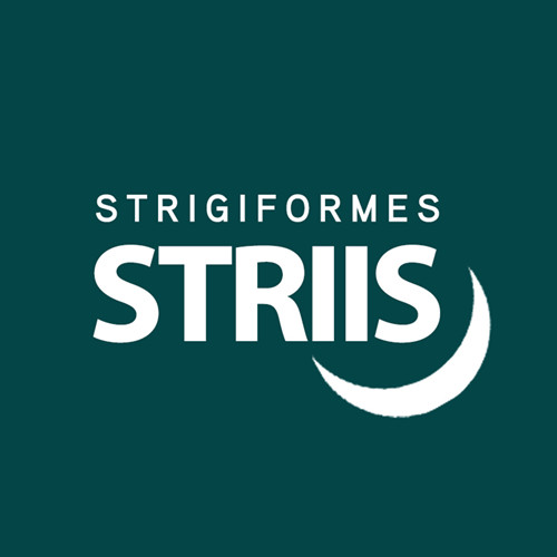 STRIIS 店铺LOGO