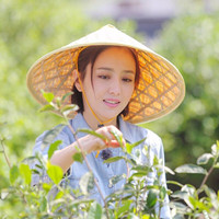 故情香茶叶 安溪铁观音原产