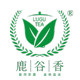 鹿谷香茶叶