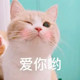 鲸与喵