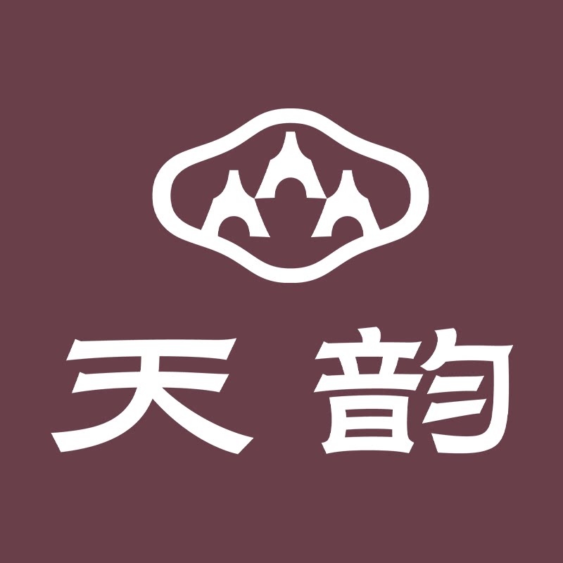 扬州天韵琴筝工厂店