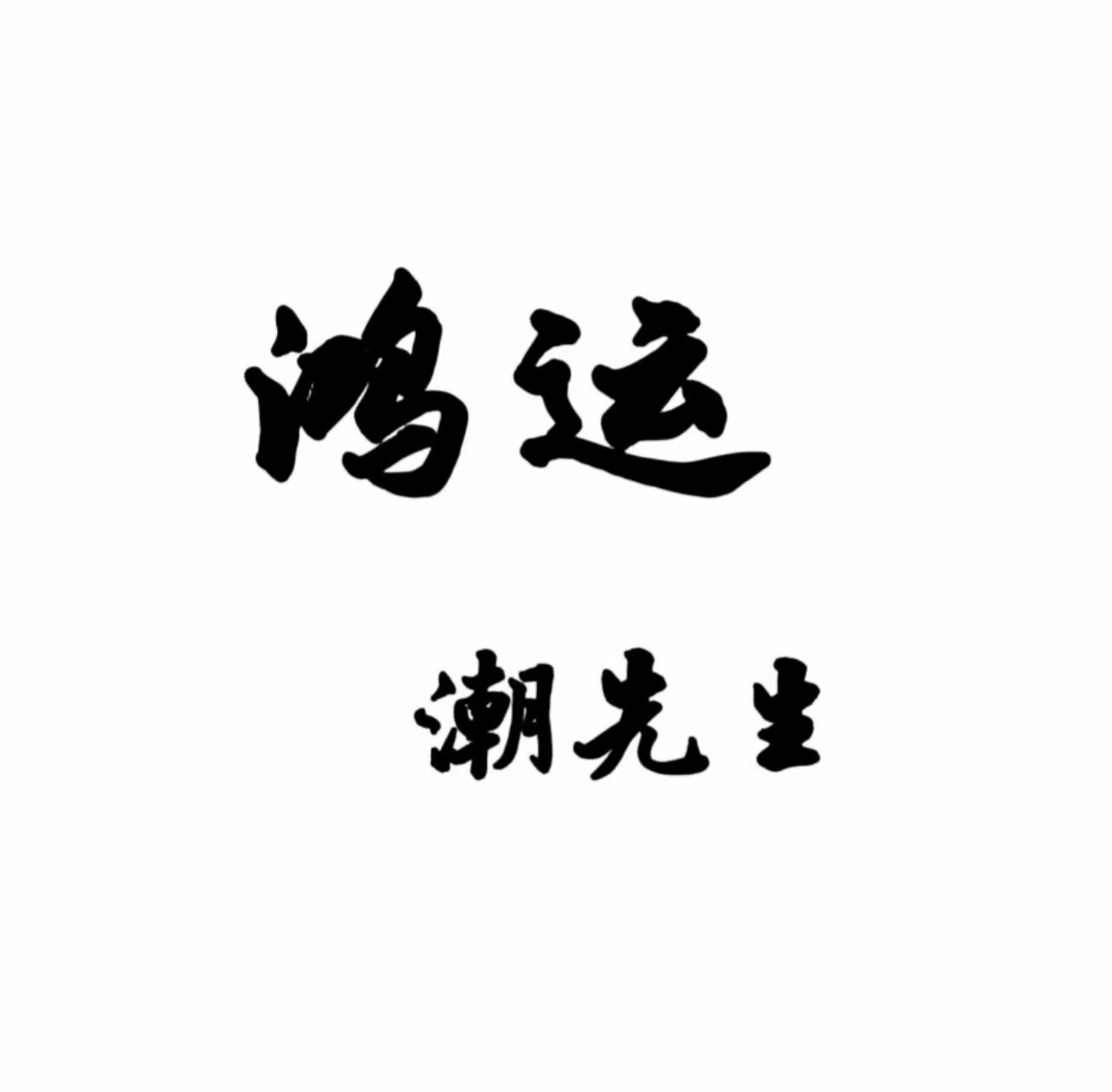 鸿运潮先生 店铺LOGO
