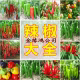 金缘鸿公司