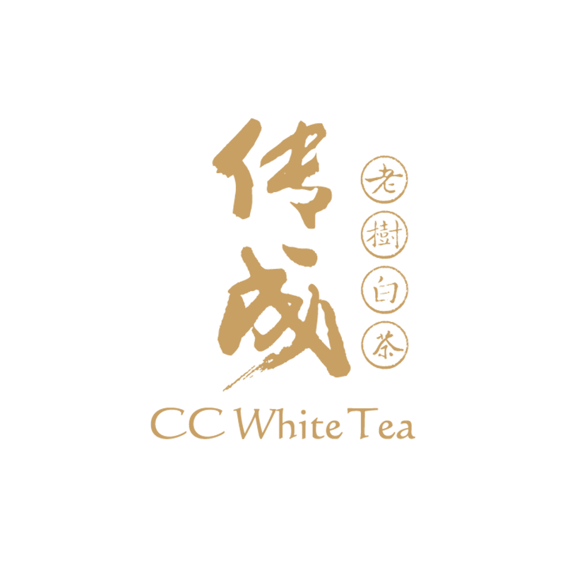 传成旗舰店
