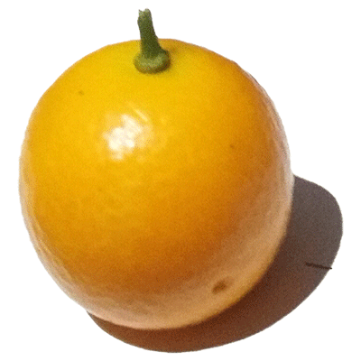 酒席喜糖干果食品企业店