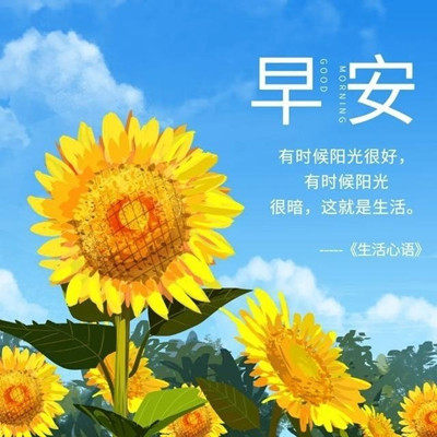 安心生活用品优选