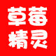 草莓精灵旗舰店