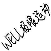 WELL极限运动 店铺LOGO