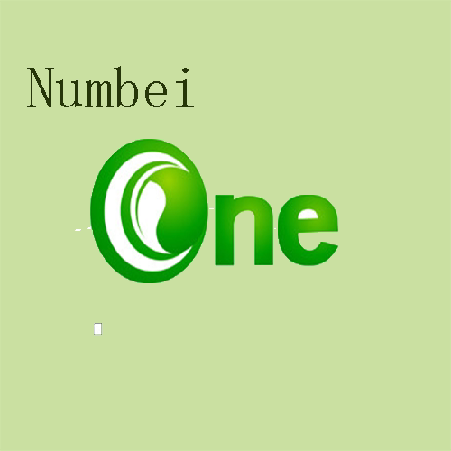 Number one海外购