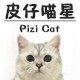 皮仔喵星
