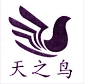 天之鸟服饰
