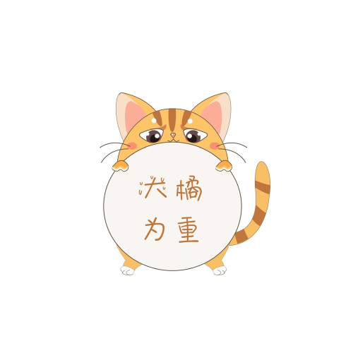 大橘PPT