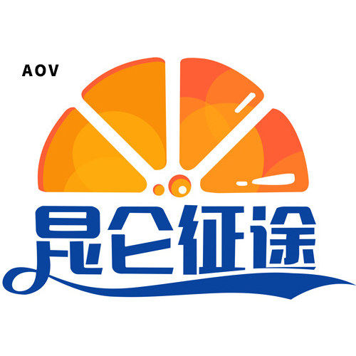 aov汽车用品旗舰店