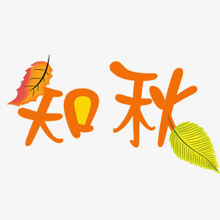 知秋 玩具商城