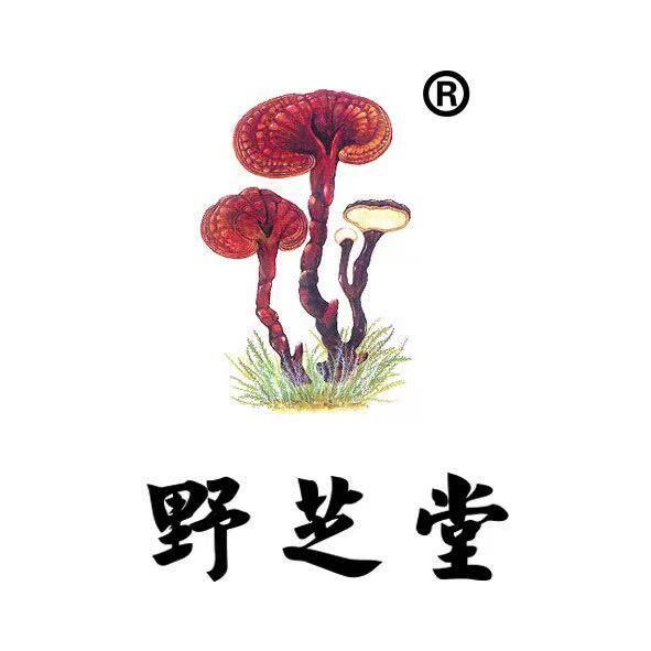 野芝堂旗舰店