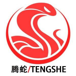 腾蛇游艺数码