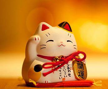 CUIHUA翠花车品