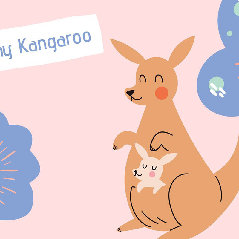 袋鼠康康Healthy Kangaroo