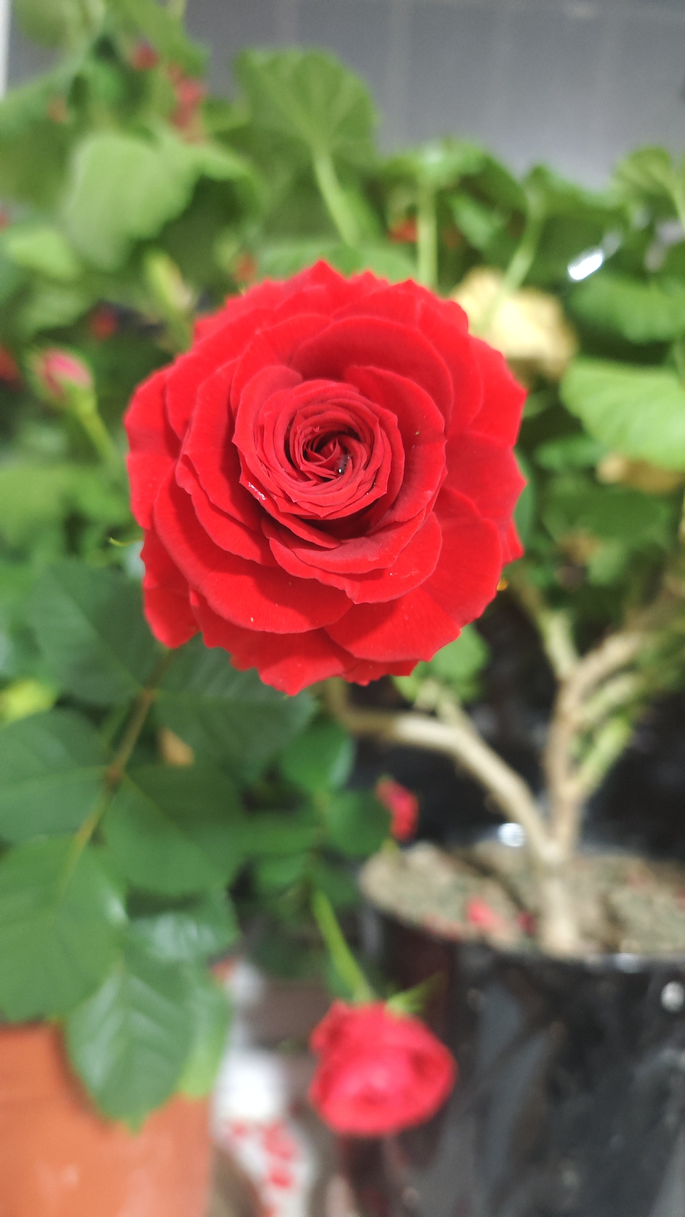 幸福佳生活馆